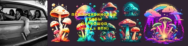 ECSTASY Абаза