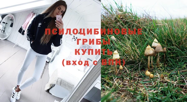 ECSTASY Абаза