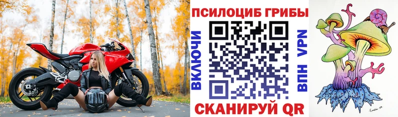 OMG ССЫЛКА  Новомичуринск  Галлюциногенные грибы мухоморы 